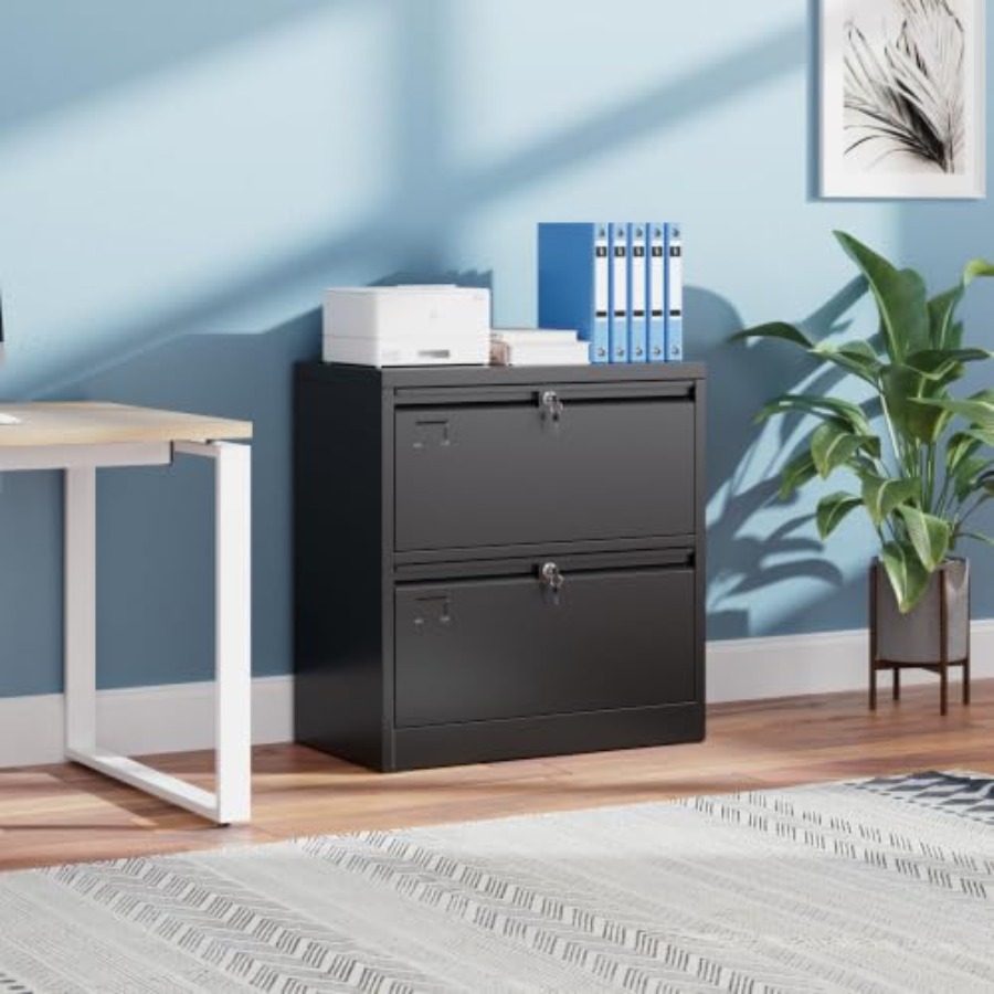 Szafka na dokumenty z 2 szufla – File Cabinet Lateral recenzja i cena